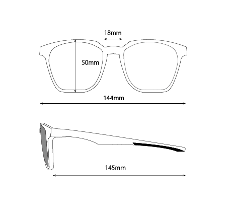 BEAGLE (ビーグル)| 偏光サングラス ブラック×ブラウン