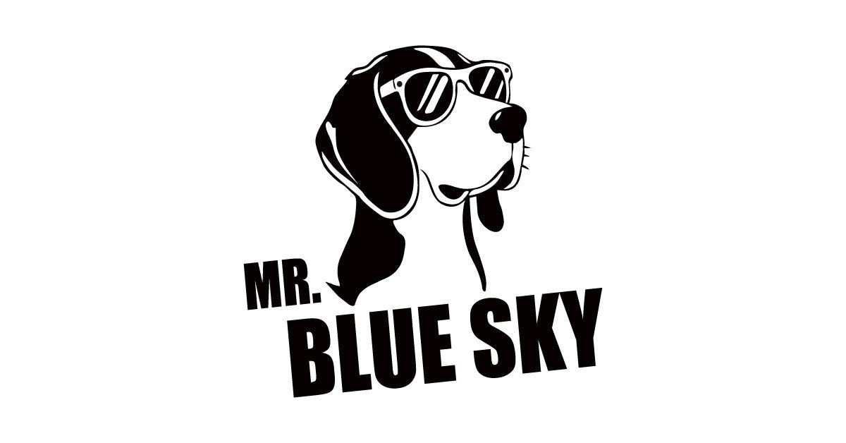 【公式】Mr. Blue Skyサングラス