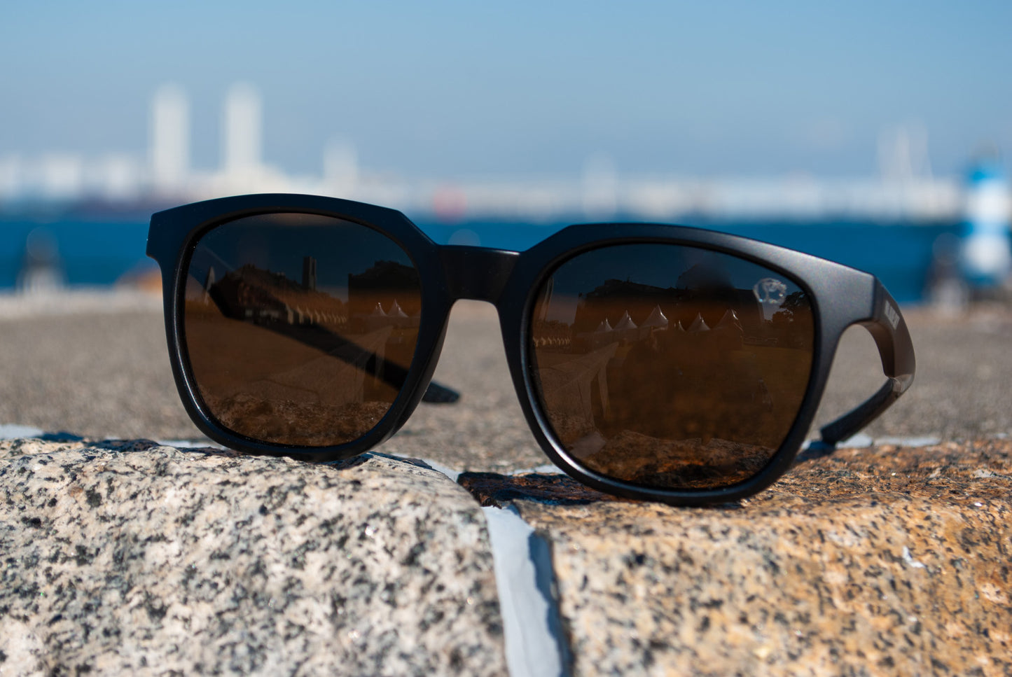 BEAGLE （ビーグル）| 偏光サングラス　ブラック×ブラウン
